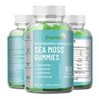 DAYNEE SEA MOSS GUMMIES